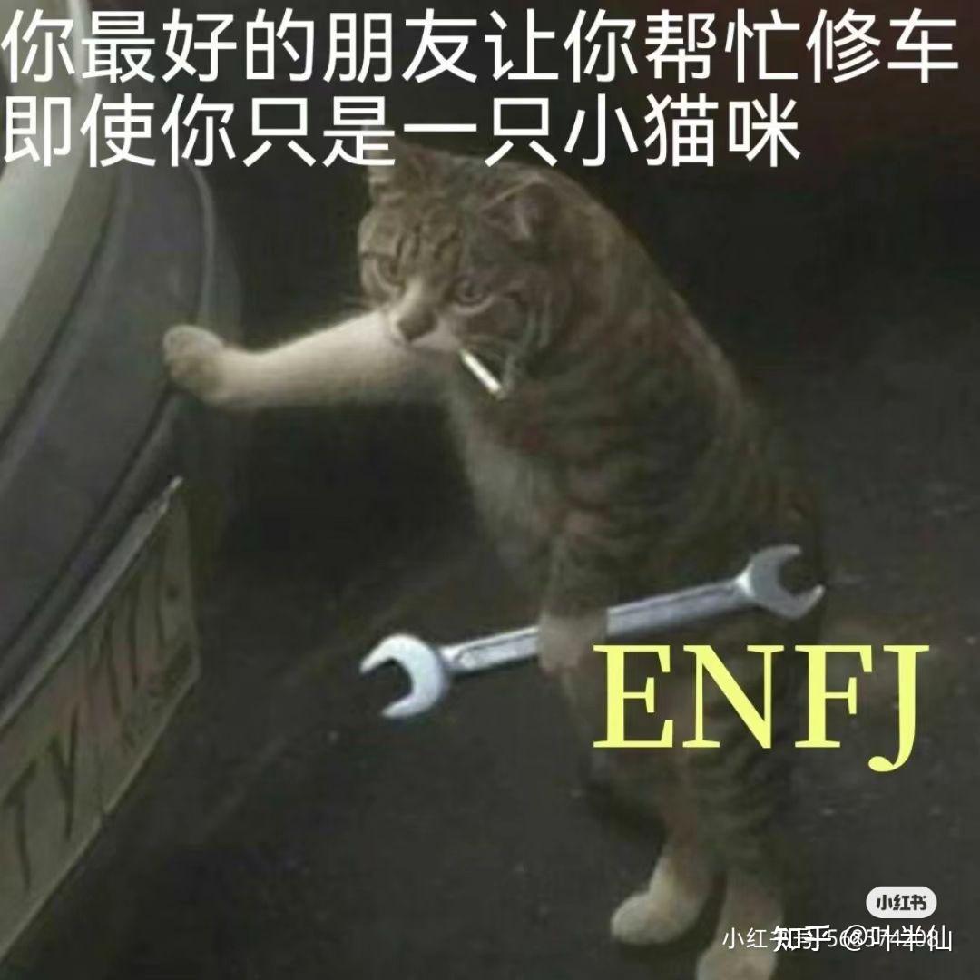 ENFJ梗图一览 知乎