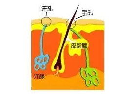 毛孔粗大怎么办呀,?
