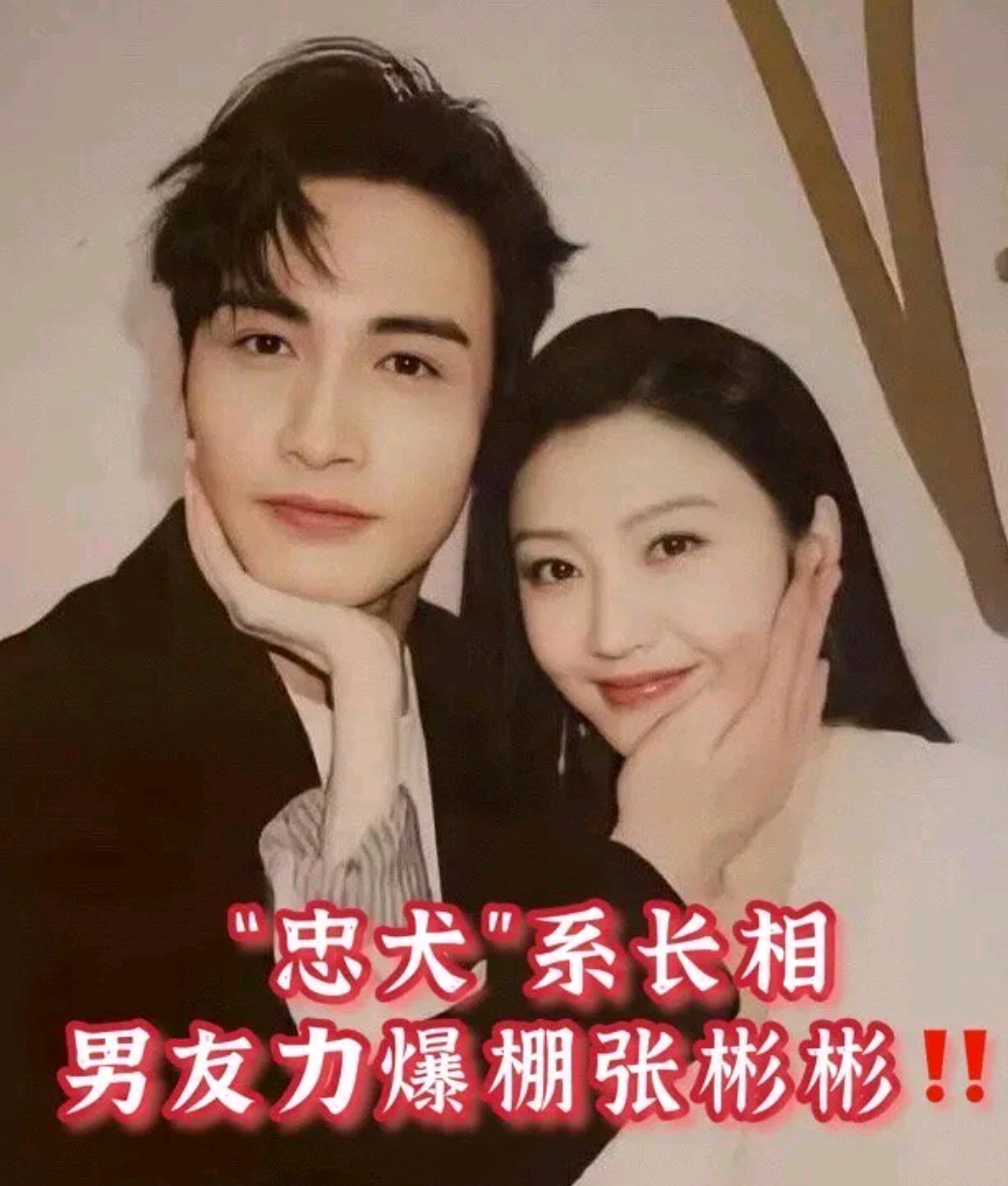 何晋龙解读:"忠犬"系长相男友力爆棚张彬彬