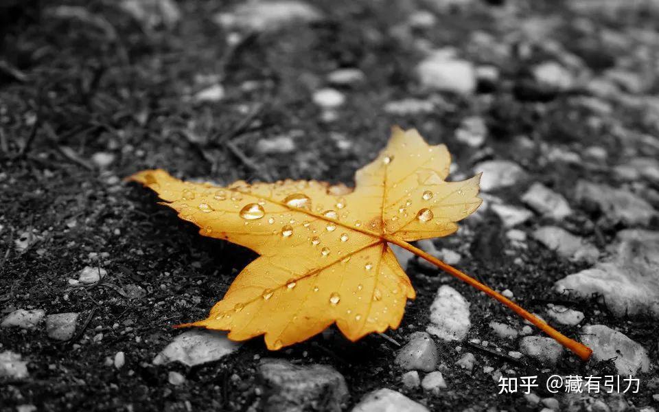 秋风,秋雨,落叶,凄凉,常给人一股肃杀之气,尤其是天气突变时,令人生