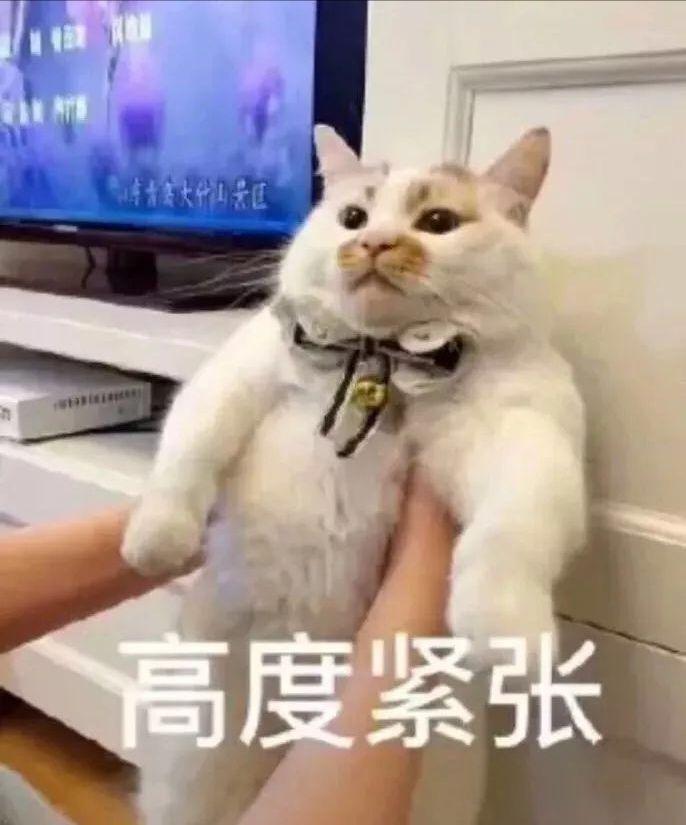 你表情里最搞笑的水印有哪些(关闭手机表白表情包的图图片