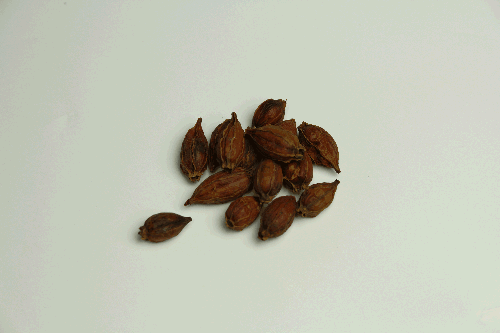 且苏木浸煎液对杆菌女生,杆菌双球菌,流行性感冒杆菌,副伤寒丙肺炎大全视频跳舞性感白喉图片