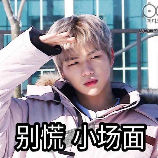 为什么姜丹尼尔的表情包如此受欢迎
