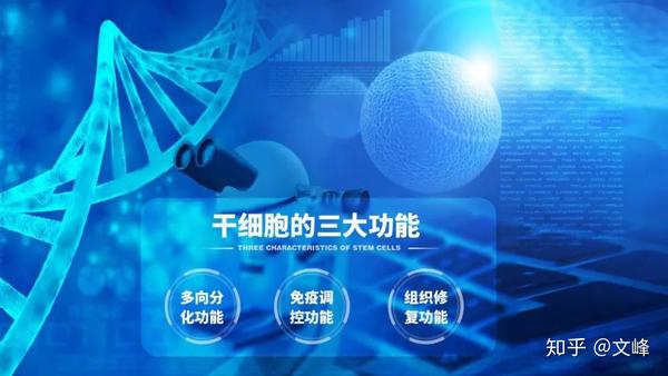 干细胞治疗肾病对肾脏功能具有良好的修复和重建作用