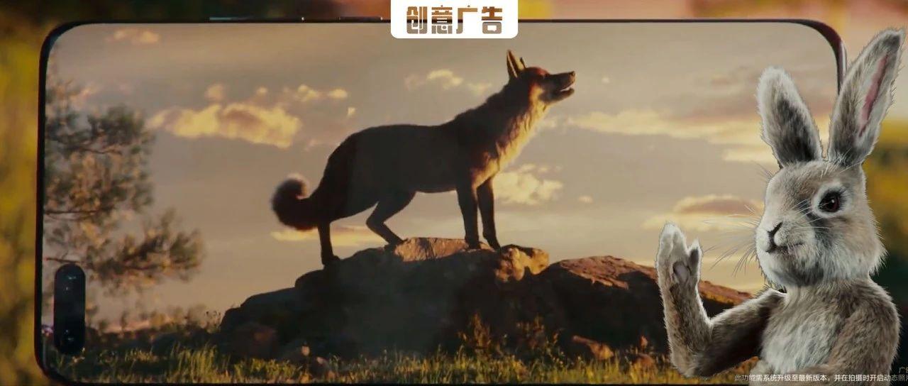 华为兔子广告有惊无险如何实现产品的艺术型SEO优化？  第1张