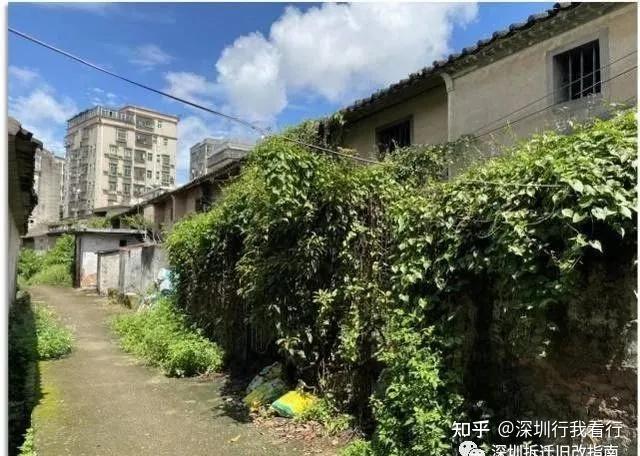 龙岗坂田杨美自然村旧改有资源