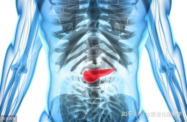 知道如何提早发现胰腺癌是一种怎样的体验?