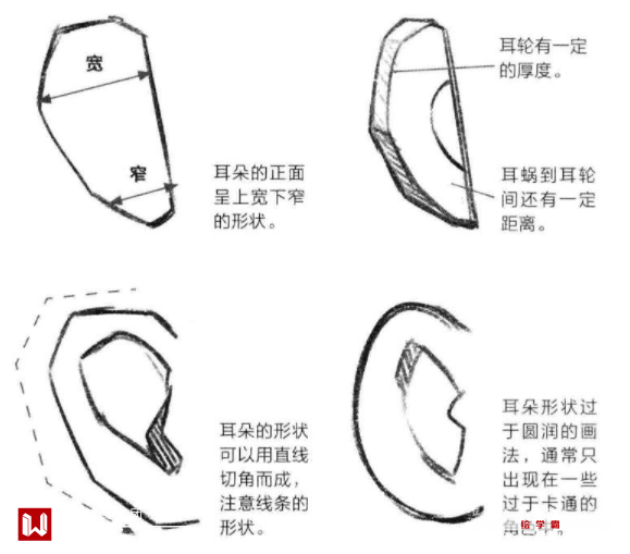 漫画的耳朵怎么画简单漫画学习基础教程