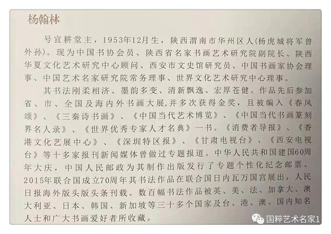 国粹艺术名家杨翰林