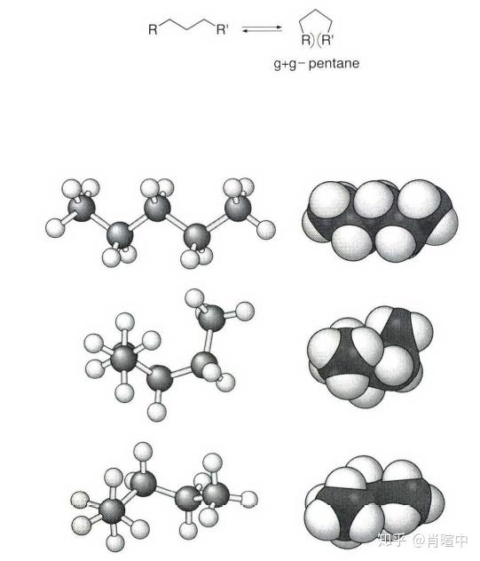 一个微妙但很重要的构象效应就是g g 戊烷作用,它能导致所谓的 同侧
