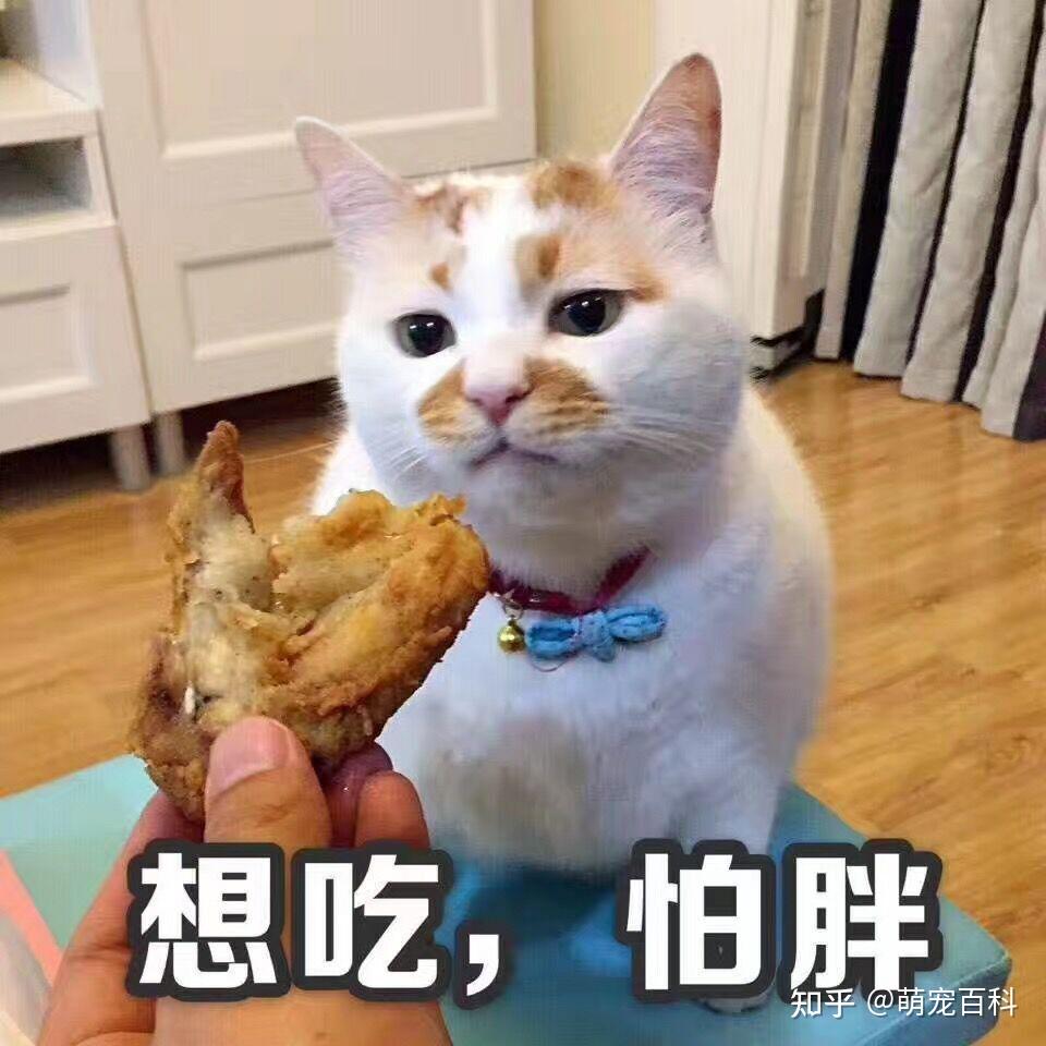 一身肥膘