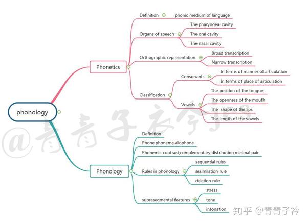 chappter   morphology