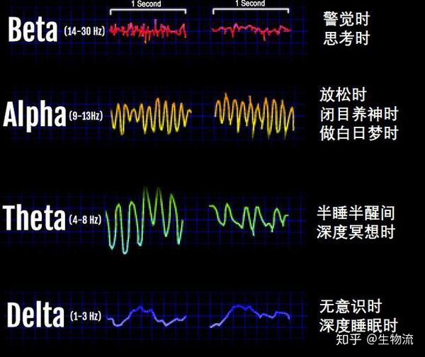 10赫兹左右的脑电波现代的名称为alpha波.