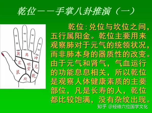 《七天学会手诊》八卦掌,疾病在手掌的对应分区