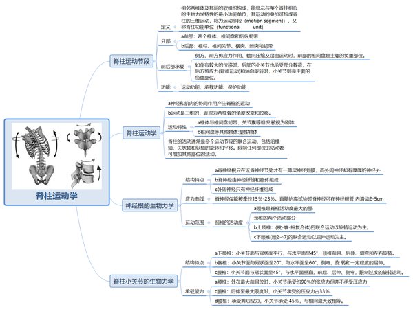 康复职考难点脊柱运动生物力学