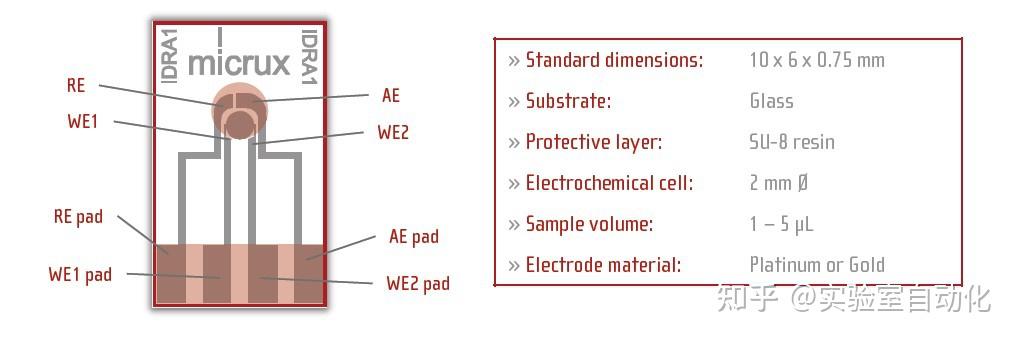 西班牙micrux微电极电化学传感器