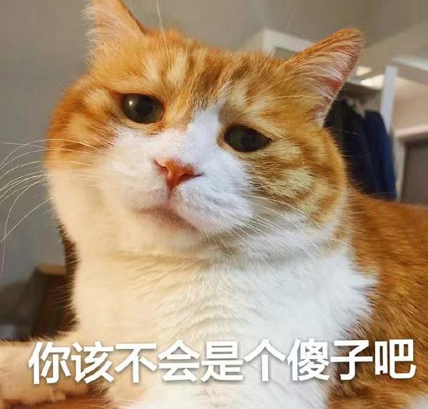 我该不会是个傻子吧.