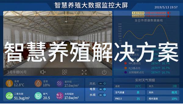 智慧养猪解决方案