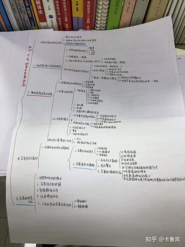 a3纸做的思维导图