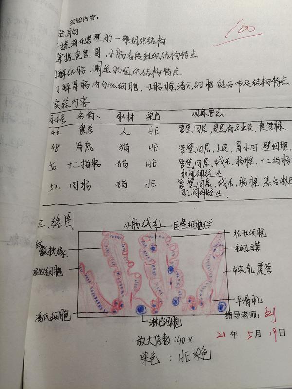 19 孩子还有几天就要组胚实验考试了,是认切片,不知道该怎么办,感觉都