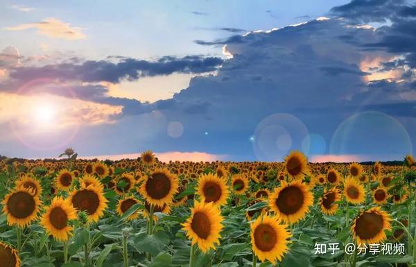 2020结束2021心情图片,2021最美风景图片 2021,请照顾好自己