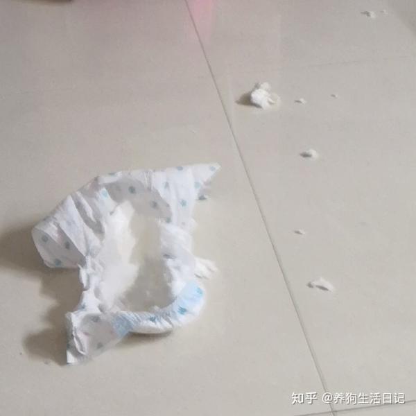 咬碎自己的纸尿裤