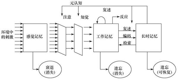 有关记忆遗忘和学习方法的内容都在这里