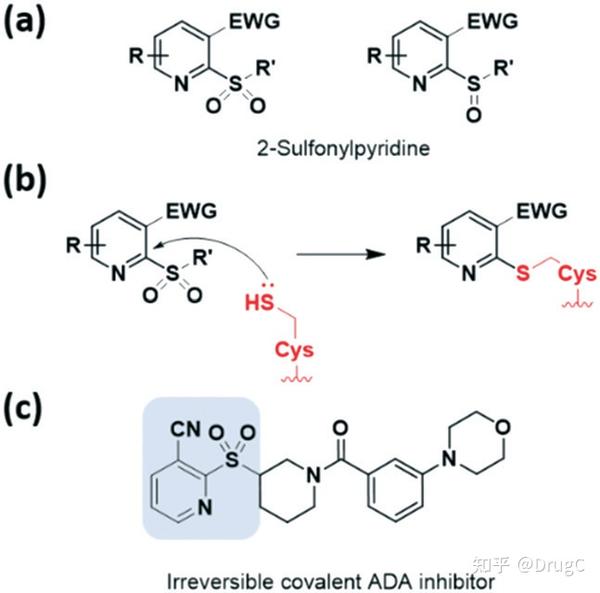 共价抑制剂药物类别简介 知乎