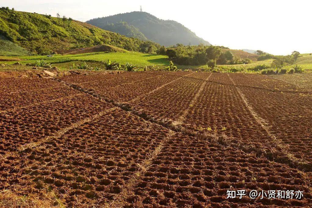 土地是农民的基础,但目前农村土地利用率很低.