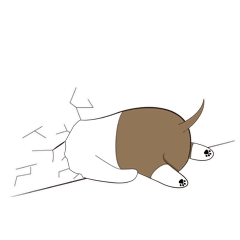 微信表情包制作注意要点! - 知乎