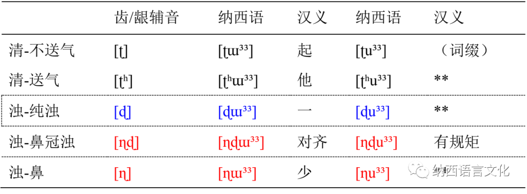 片丁纳西语中齿/龈音与卷舌音不对立不对立,所以上表中没有最小对立