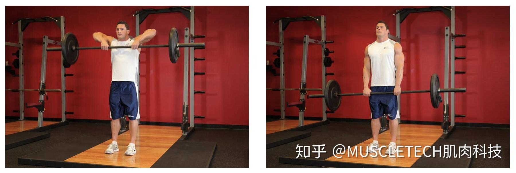 6. upright row 直立杠铃划船