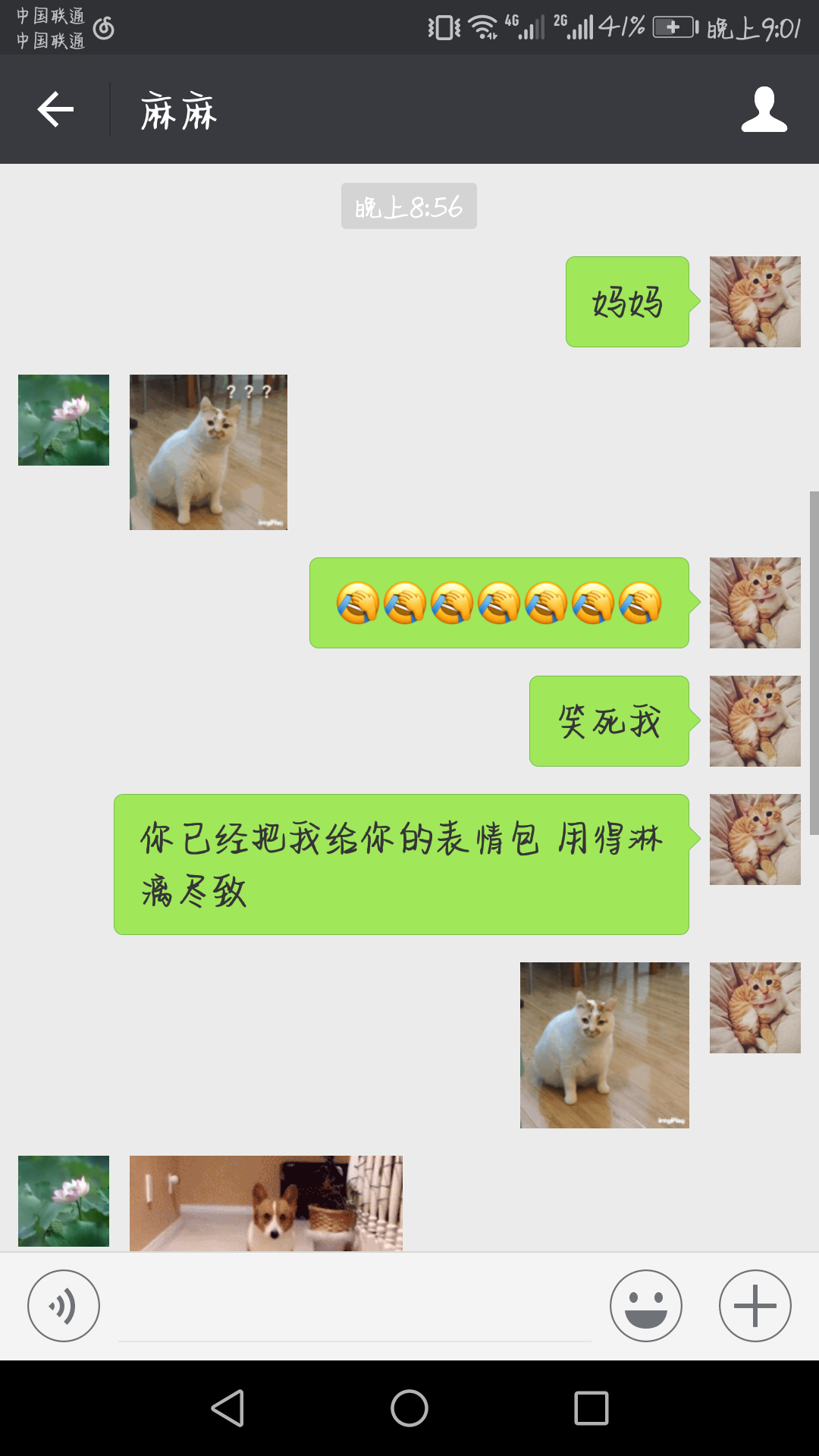 有一个爱发表情的娘亲或者爹爹媳妇表情包撩的gif是种的体图片