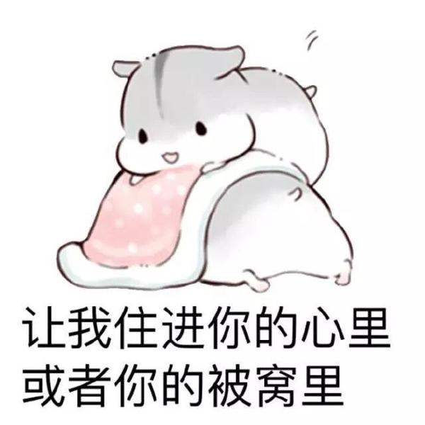 有互撩,表白,套路男朋友等等表情包,只需要这篇就够了,不用再去其它