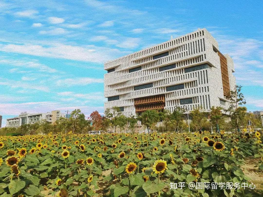 毕业季 | 漫画中寻你的武汉理工大学记忆!