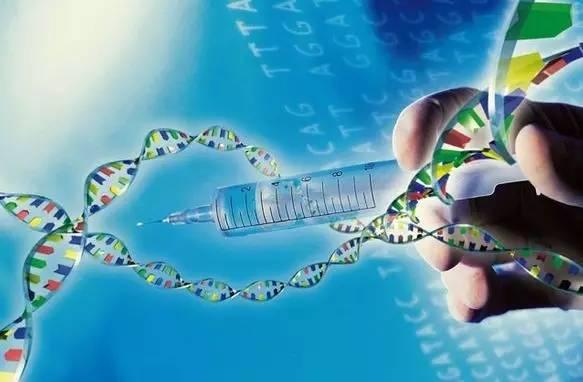 视频生物标记物基因联合诊断模型的r实现rocauc