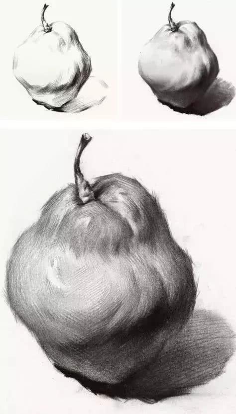 素描入门 苹果 梨的画法