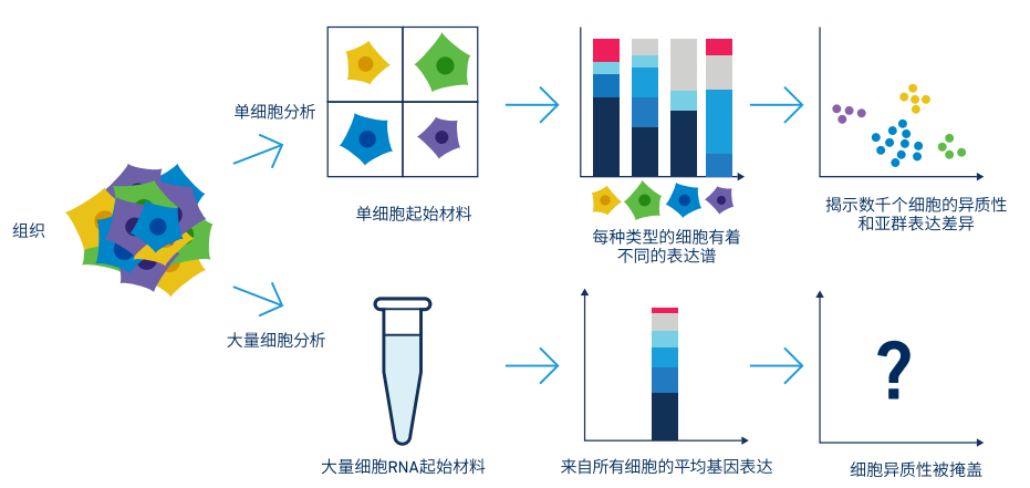 科研盘点 高通量单细胞测序技术全方位综述 知乎