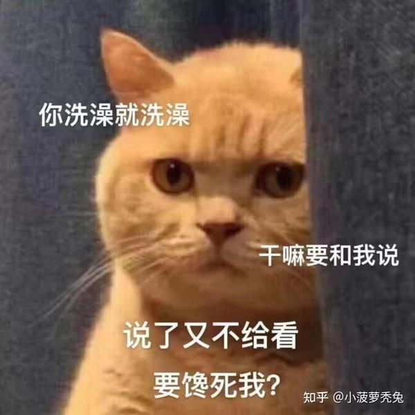 专治男朋友表情包