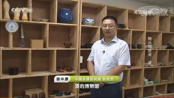 漆怎么来的走近科学告诉你