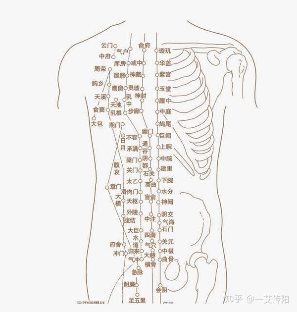 艾灸如何发挥疗效?这里的回答应该是全网最全的.