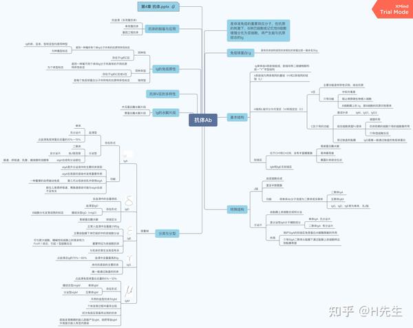 免疫学思维导图