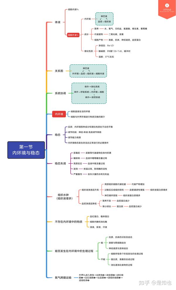 人教新版高中生物选择性必修一思维导图