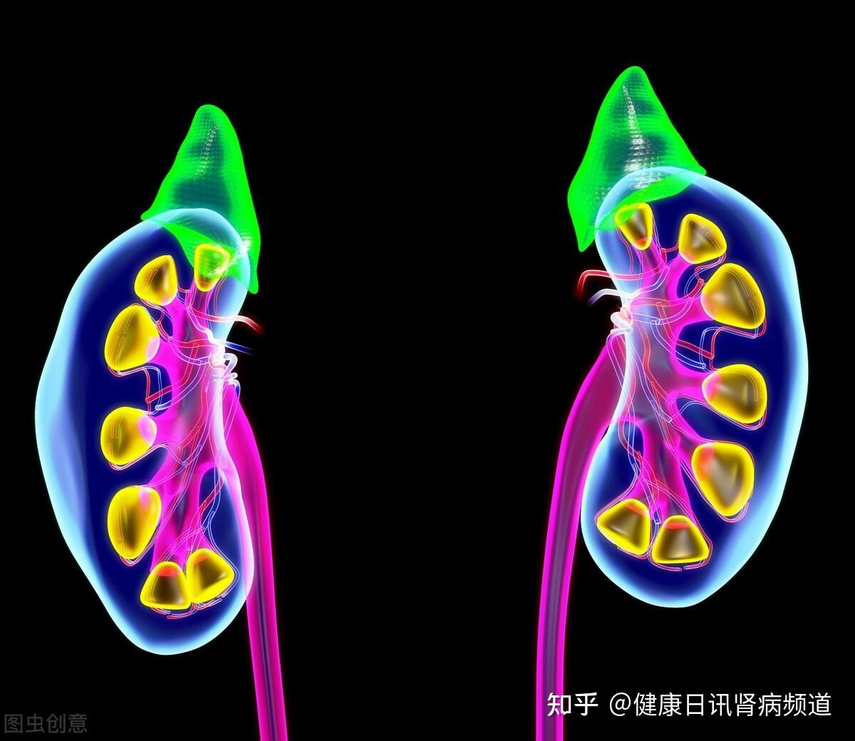 肾病阻断尿毒症只降肌酐不行做好2点提升肾小球滤过率