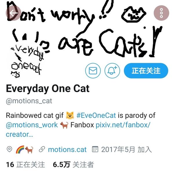 魔性猫猫everydayonecat表情包