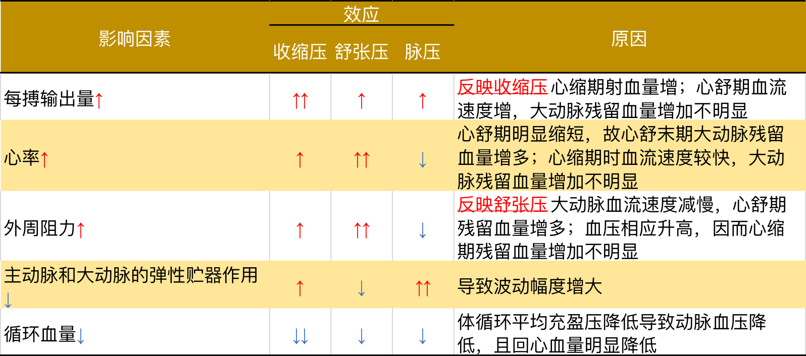 动脉血压血压的昼夜波动:2-3h最低,6-10h及16-20h有两个高峰高血压