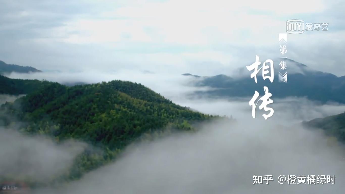 纪录片本草中华第一季