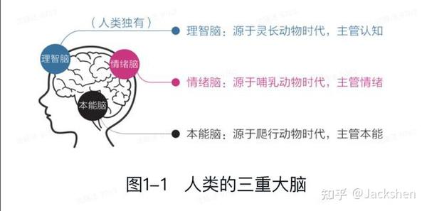 认知觉醒 重新认识你自己 知乎