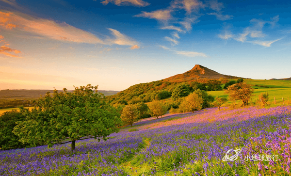 york moors national park位于约克郡北部,是英国最宝贵的自然资源之