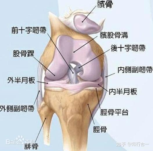 半月板损伤怎么办这有一份总结五年的经验请查收